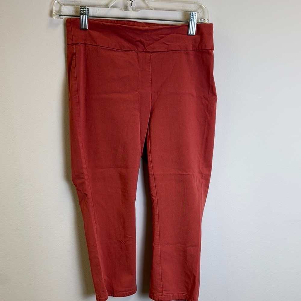 Van Heusen Size 2 Rust Red Cropped Pants